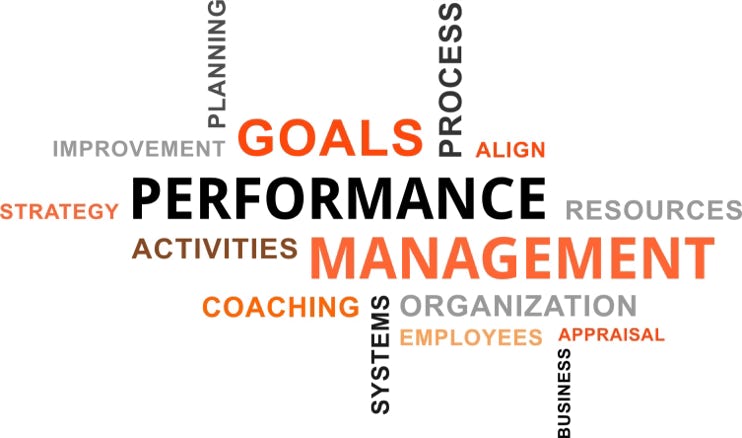 The image shows the key words Performance Management with other smaller words around that including Goals, Strategy, Align, Improvement Coaching, and Resources.
