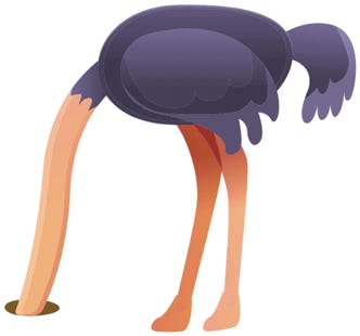 An ostrich with it's head in the sand