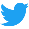 Twitter logo as a link
